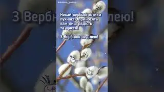Миру та щастя у Вербну неділю! short. shorts #shorts #short