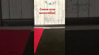 23 мая 2024 г.
