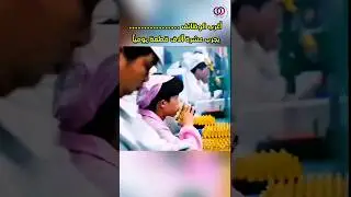 أغرب الوظائف -يجرب عشرة آلاف قطعة يومياً #shorts
