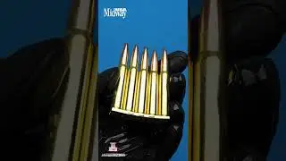 Portuguese Mauser | 