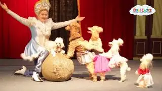 Poodle & Dove Show Toronto - Right Choice Children's Entertainment
