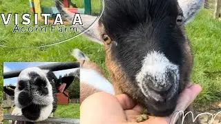 DíA DE GRANJA 🐮🐐🐑🦆🐓🐷🦙