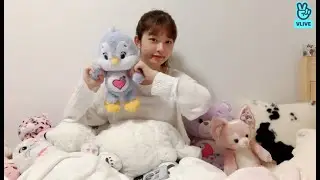 IVE Vlive REI 콩순이의 애프터눈 쇼🦭🕶️🎤 @20221221