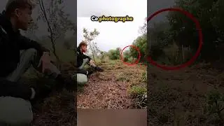 Le voyage de ce guépard a réchauffé les cœurs ❤️