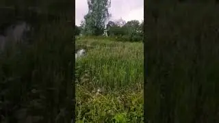 озеро Скирмантово