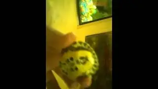 Мой аквариум на 50 литров с рыбками и два аквариума по 10 литров с лягушкой и черепашкой.