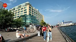 Toronto Summer Walk / Harbourfront Toronto - Queens Quay Downtown Walk ( Aug 2023 )