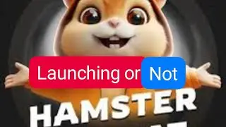 Hamster combat giving withdrawal or not 🤑😍🤑😡