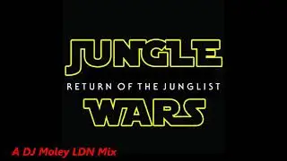 90's Jungle Drum n Bass Mix