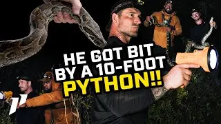 Catching MONSTER Pythons With The Python Cowboy