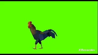 copyright free Cartoon Green Screen Animation murga Walking  Running Green Video 