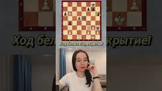 Пожертвуй ферзя - поставь мат! #shorts #шахматы #chess