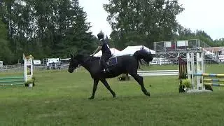 Riley & Woodmont Premier, Champion .75 Division Jumper Grass CVPC Show June 2023