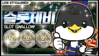 [슬롯 실시간] 슬롯제비 박씨를 물어다줄 제비가 복귀햇습니다! 실시간 슬롯 생방송중    #슬롯