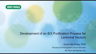 Development of IEX Purification Process for Lentiviral Vectors