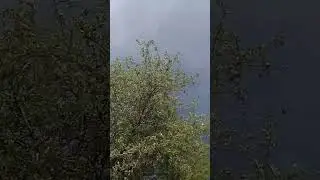 Первый гром ⛈️🌧