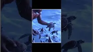 Stop Buying Baby Turtles |😲😲| #shorts