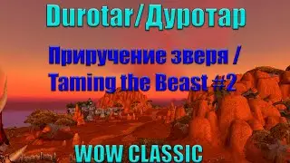 Приручение зверя / Taming the Beast #2 World of Warcraft  Classic 2019