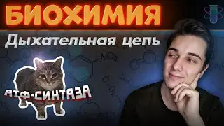 RESPIRATORY CHAIN ​​in simple terms | Oxidative phosphorylation (how to say it on the exam)