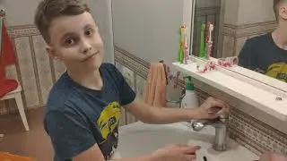 Как вырастить манго из косточки 🥭