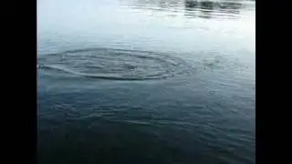 Ловля сома на джиг