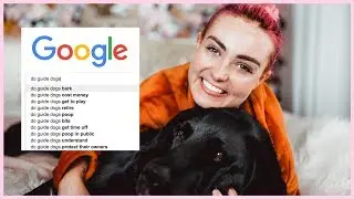 Guide Dog User Answers The Most Googled Questions About Guide Dogs!