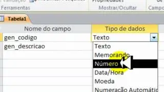 Access - Projeto Locadora - Tabela Generos.wmv