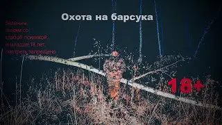 Охота на барсука//охота с Ягдтерьером // Badger Hunting with a Jagdterrier