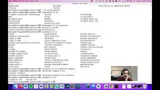 Working with the terminal