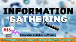 #16 Information Collection via Website