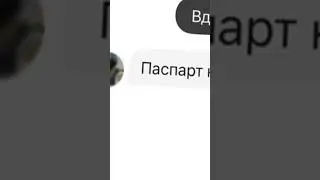 I'm looking for my passport on Avito.