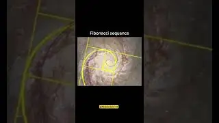 Fibonacci Sequence | 
