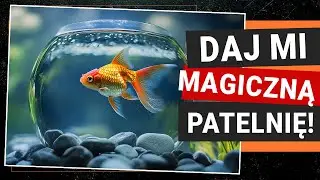 Nowa, Droga Patelnia, która NIE CHCE Spełniać Życzeń Smażącego!
