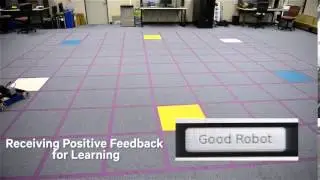 Qualcomm Zeroth   Biologicially Inspired Learning