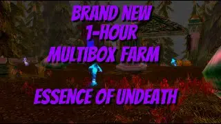 WOW Essence of Undeath Multibox Farm | Darkshore