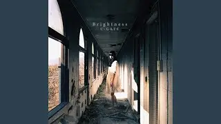 BROKEN WINGS