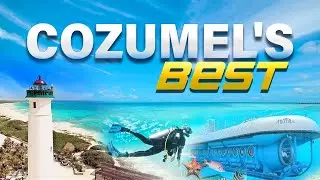 The 5 BEST Must Do Activities in Cozumel Mexico