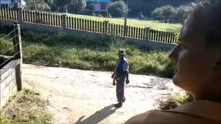 Мы и слоны