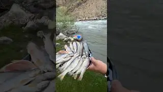 #video