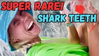 Finding Super RARE Shark Teeth in Ancient Florida Oceans!