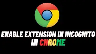 How To Use Extension In Incognito Mode In Chrome | Easily Enable Extenstion
