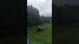 Вся семейка поместилась😄