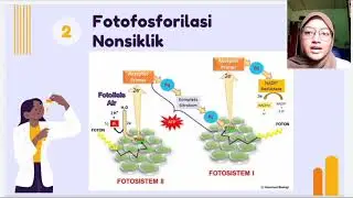 115 PBU Fotofosforilasi Siklik oleh Elsa Septiani