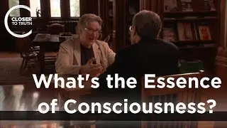 Ned Block - What's the Essence of Consciousness?