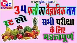 Fruit names/Scientific name with pictures in English & Hindi for All exams - Fruit Names in Hindi