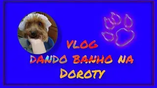 vlog - banho - pet - tudo sobre cachorros - yorkshire - banho em casa - como fazer - quatro patas ❤️