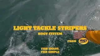 Hogy System: Light Tackle Stripers Kit #hogylures #hogyfishing
