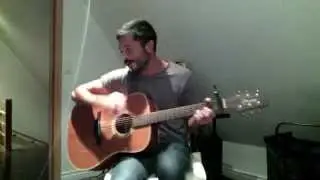 The Strokes - Reptilia (cover)