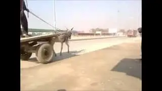 Chief Minister Protocol In Khyber Pakhtunkhwa