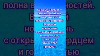 ВОЛШЕБНИК КАЖДЫЙ ДЕНЬ